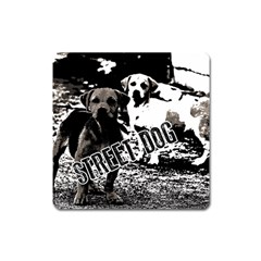 Street dogs Square Magnet