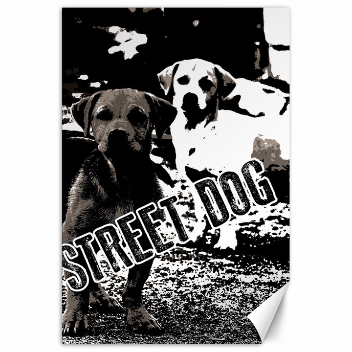 Street dogs Canvas 20  x 30  