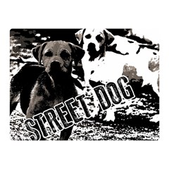 Street dogs Double Sided Flano Blanket (Mini) 