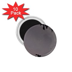 Stop Action Pigeon 1 75  Magnets (10 Pack) 