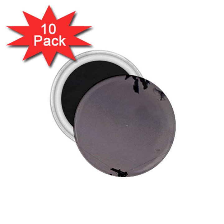 Stop Action Pigeon 1.75  Magnets (10 pack) 