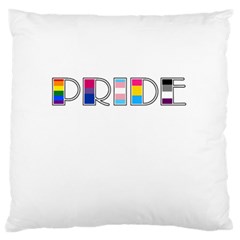 Pride Large Flano Cushion Case (two Sides) by Valentinaart