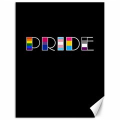 Pride Canvas 12  X 16   by Valentinaart