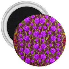 Roses Dancing On A Tulip Field Of Festive Colors 3  Magnets by pepitasart