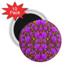 Roses Dancing On A Tulip Field Of Festive Colors 2 25  Magnets (10 Pack)  by pepitasart