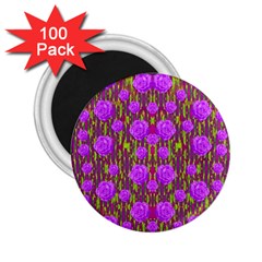 Roses Dancing On A Tulip Field Of Festive Colors 2 25  Magnets (100 Pack)  by pepitasart