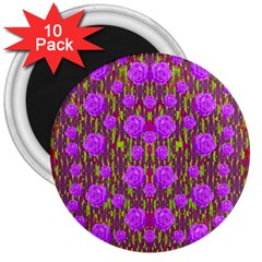 Roses Dancing On A Tulip Field Of Festive Colors 3  Magnets (10 Pack)  by pepitasart