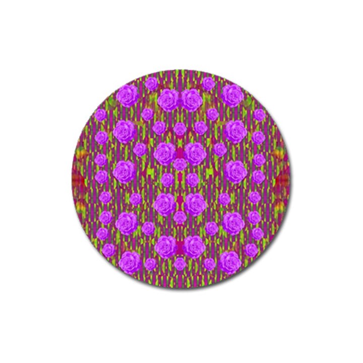 Roses Dancing On A Tulip Field Of Festive Colors Magnet 3  (Round)