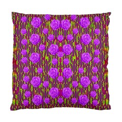 Roses Dancing On A Tulip Field Of Festive Colors Standard Cushion Case (one Side) by pepitasart