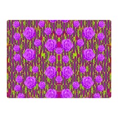 Roses Dancing On A Tulip Field Of Festive Colors Double Sided Flano Blanket (mini)  by pepitasart