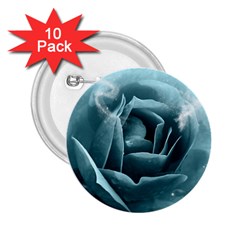 Beautiful Blue Roses With Water Drops 2 25  Buttons (10 Pack)  by FantasyWorld7