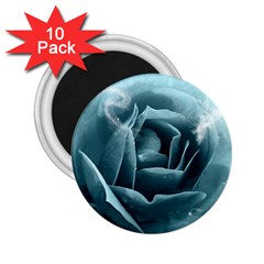 Beautiful Blue Roses With Water Drops 2 25  Magnets (10 Pack)  by FantasyWorld7