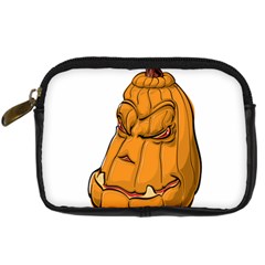 Sleeping Pumpkin Digital Camera Cases