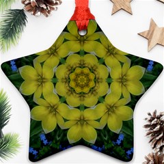 Fantasy Plumeria Decorative Real And Mandala Ornament (star) by pepitasart