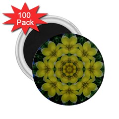 Fantasy Plumeria Decorative Real And Mandala 2 25  Magnets (100 Pack)  by pepitasart