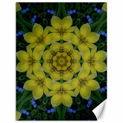 Fantasy Plumeria Decorative Real And Mandala Canvas 12  X 16   by pepitasart