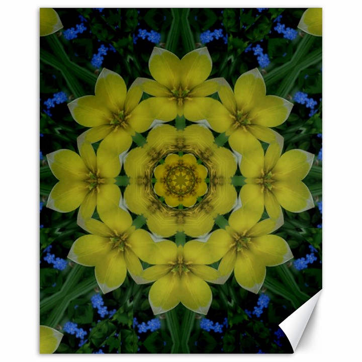 Fantasy Plumeria Decorative Real And Mandala Canvas 16  x 20  