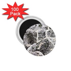 Coquina Shell Limestone Rocks 1 75  Magnets (100 Pack)  by Nexatart