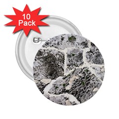 Coquina Shell Limestone Rocks 2 25  Buttons (10 Pack)  by Nexatart