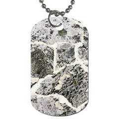 Coquina Shell Limestone Rocks Dog Tag (two Sides) by Nexatart