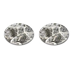 Coquina Shell Limestone Rocks Cufflinks (oval) by Nexatart