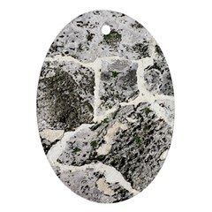 Coquina Shell Limestone Rocks Oval Ornament (two Sides) by Nexatart