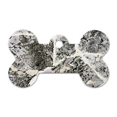 Coquina Shell Limestone Rocks Dog Tag Bone (two Sides) by Nexatart