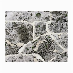 Coquina Shell Limestone Rocks Small Glasses Cloth (2-side) by Nexatart