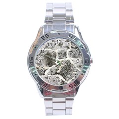 Coquina Shell Limestone Rocks Stainless Steel Analogue Watch by Nexatart