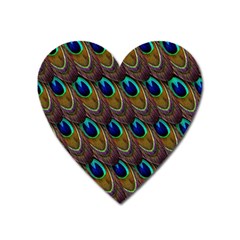 Peacock Feathers Bird Plumage Heart Magnet by Nexatart