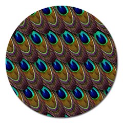 Peacock Feathers Bird Plumage Magnet 5  (round) by Nexatart