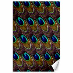 Peacock Feathers Bird Plumage Canvas 24  X 36  by Nexatart