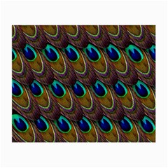 Peacock Feathers Bird Plumage Small Glasses Cloth (2-side) by Nexatart