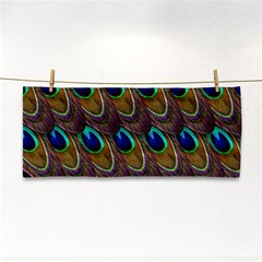 Peacock Feathers Bird Plumage Cosmetic Storage Cases by Nexatart