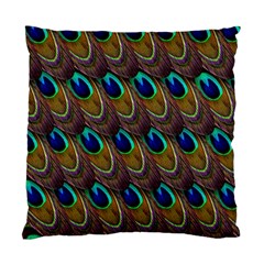 Peacock Feathers Bird Plumage Standard Cushion Case (one Side) by Nexatart