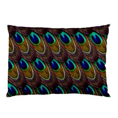 Peacock Feathers Bird Plumage Pillow Case (two Sides) by Nexatart