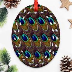 Peacock Feathers Bird Plumage Ornament (oval Filigree) by Nexatart