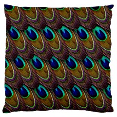 Peacock Feathers Bird Plumage Large Cushion Case (two Sides) by Nexatart