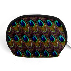 Peacock Feathers Bird Plumage Accessory Pouches (medium)  by Nexatart