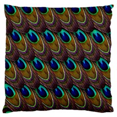 Peacock Feathers Bird Plumage Standard Flano Cushion Case (two Sides) by Nexatart