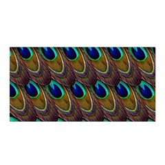 Peacock Feathers Bird Plumage Satin Wrap by Nexatart