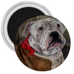 Dog Portrait 3  Magnets by redmaidenart