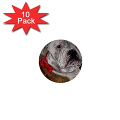 Dog Portrait 1  Mini Buttons (10 Pack)  by redmaidenart