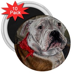 Dog Portrait 3  Magnets (10 Pack)  by redmaidenart