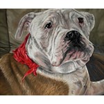 Dog Portrait Deluxe Canvas 14  x 11  14  x 11  x 1.5  Stretched Canvas