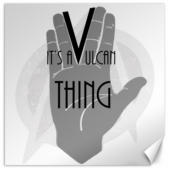 Vulcan Thing Canvas 20  x 20  