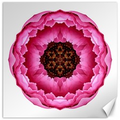 Pink Peony I Flower Mandala Canvas 20  X 20   by flowermandalas