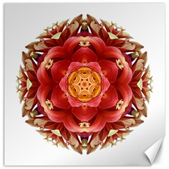 Red And Yellow Dahlia Iii Flower Mandala Canvas 20  X 20   by flowermandalas