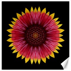 Galliardia Arizona Sun I Flower Mandala Canvas 20  X 20   by flowermandalas