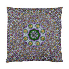 Summer Bloom In Floral Spring Time Standard Cushion Case (two Sides) by pepitasart